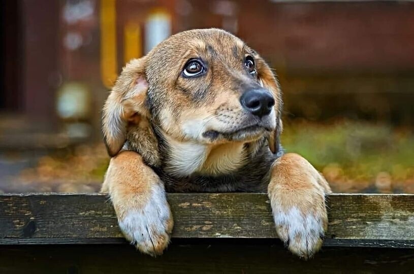 Фото из доступного источника