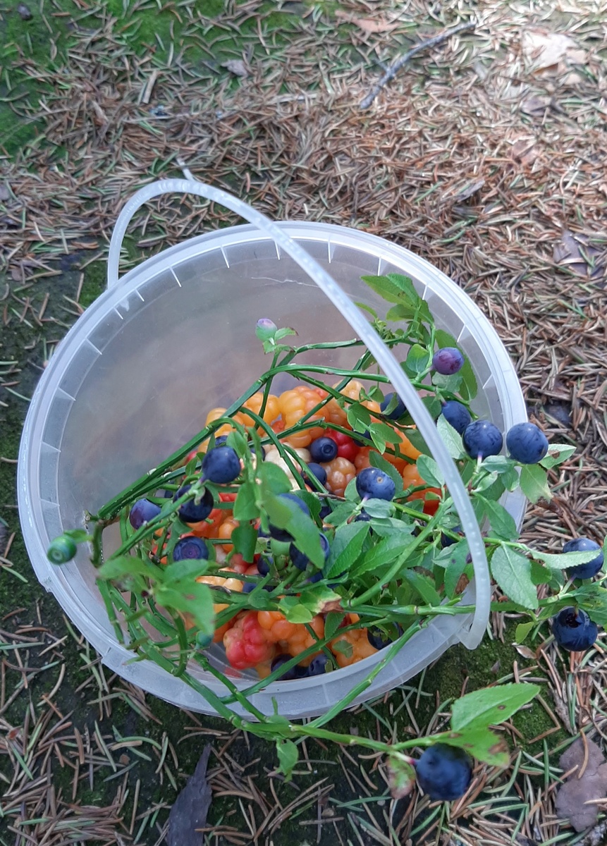 Сорвалась веточку для маленькой Ульяны