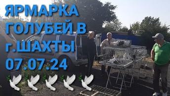 Ярмарка голубей в г.Шахты. Птичий рынок 07.07.24. Николаевские голуби.