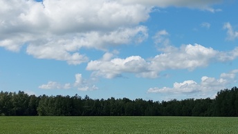 Облака... ☁️ Они всегда такие разные, но каждый раз по - своему прекрасные 😍