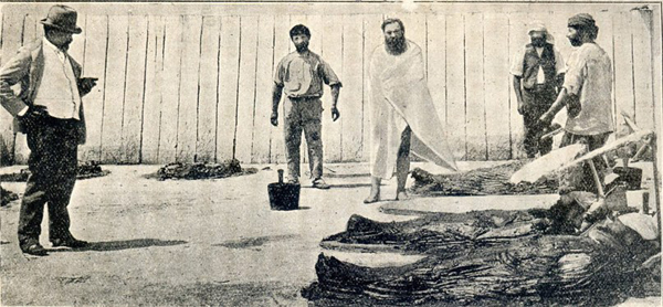 Медальоны курорта Чокрак. Источник изображения: web.archive.org