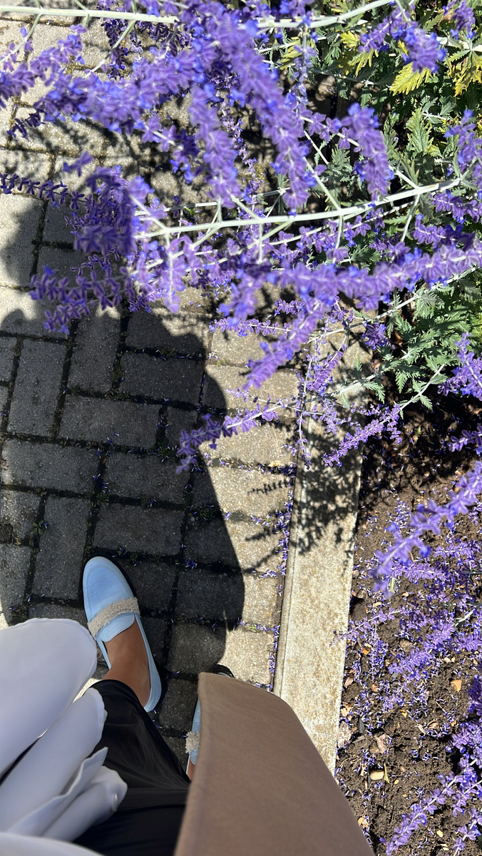 Обо мне и о моих подходах здесь https://clearme.aqulas.me