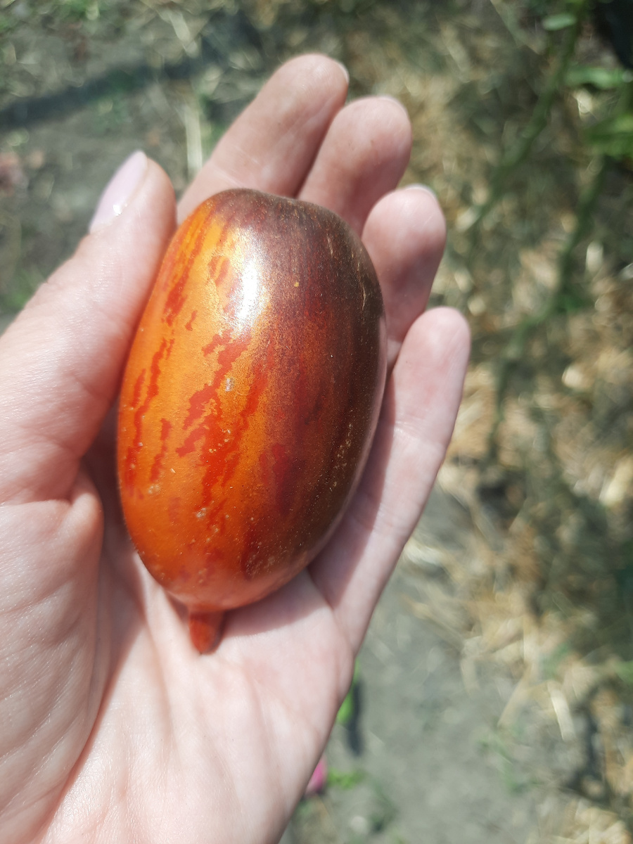 Например, "бой с тенью" отлично подойдут