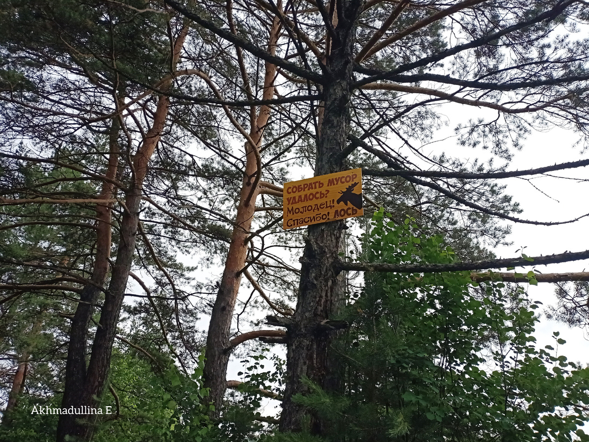 Лось благодарит за собранный мусор