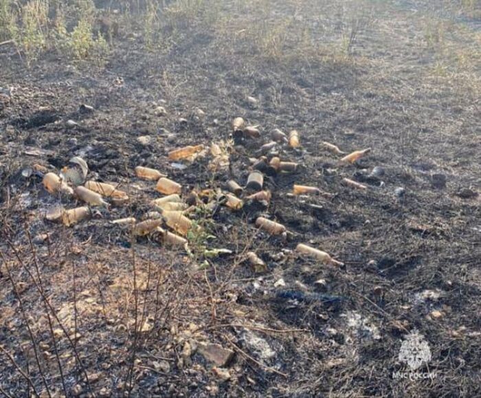 Источник фото: пресс-службы МЧС РО