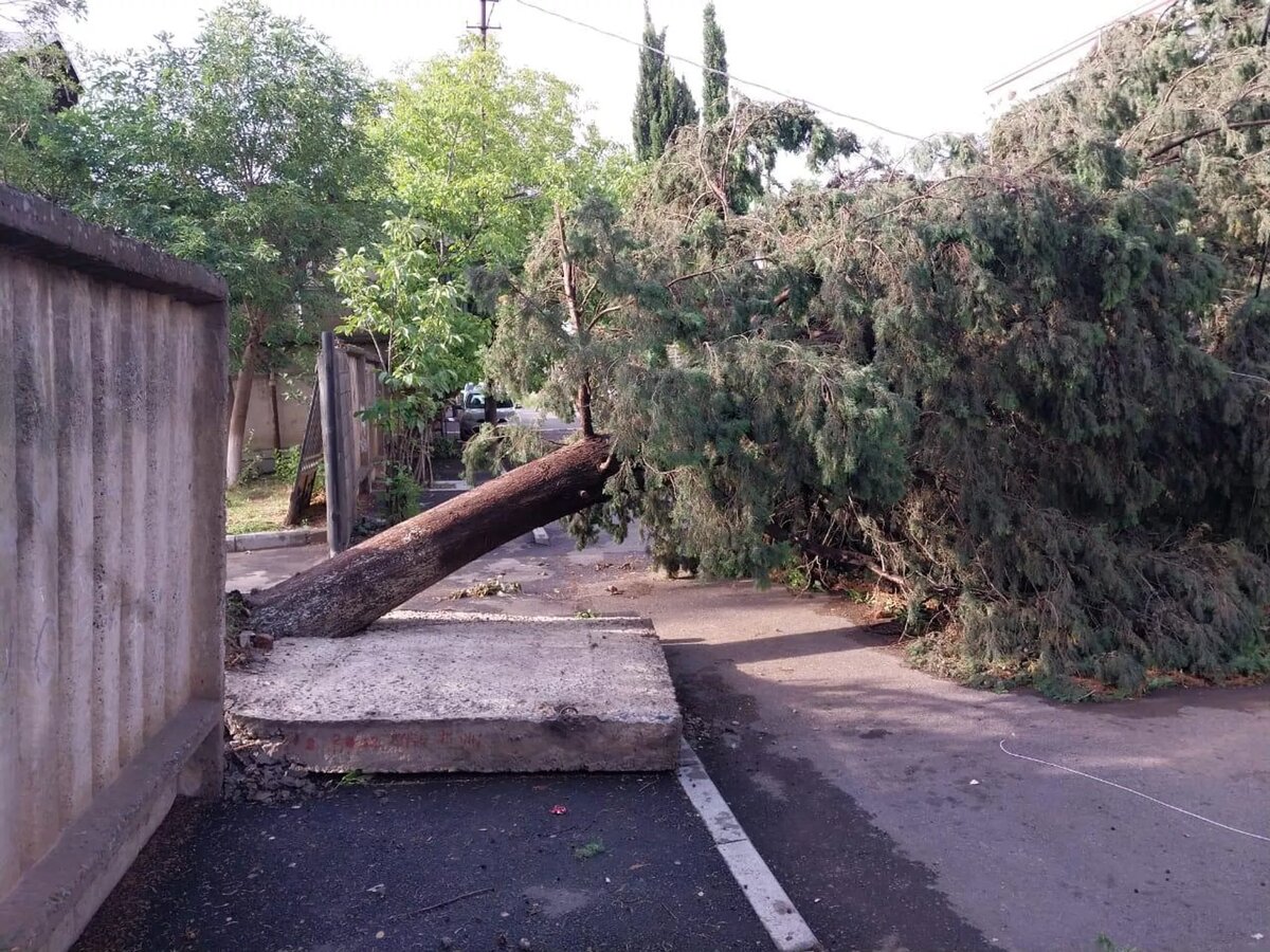 Последствия ливня в Тбилиси © Courtesy of Tbilisi City Hall