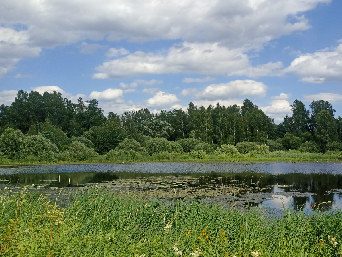 Зелено и солнечно. Листайте галерею