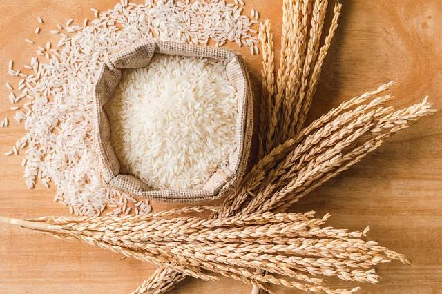 Фото: правительство РФ 