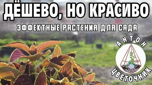 Как украсить сад дёшево, но эффектно. Лучше и удобнее, чем простая клумба