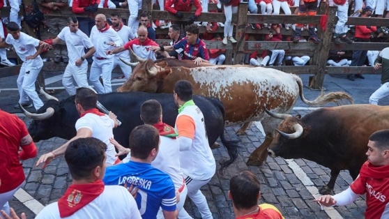    В Испании шесть человек пострадали после забега с быками Татьяна Сидорова