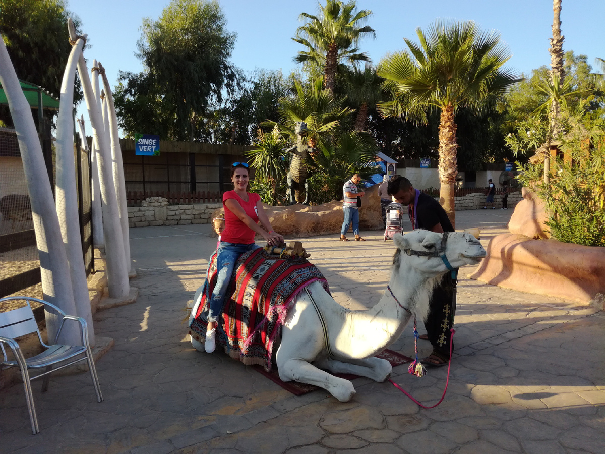 Я и красавчик белый верблюд 