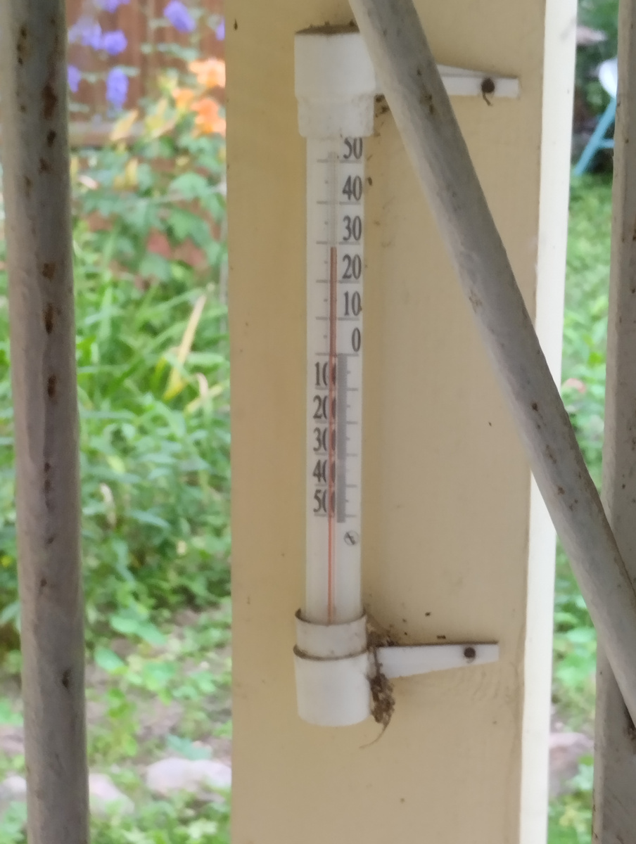 Это фото я снял в семь вечера!!!