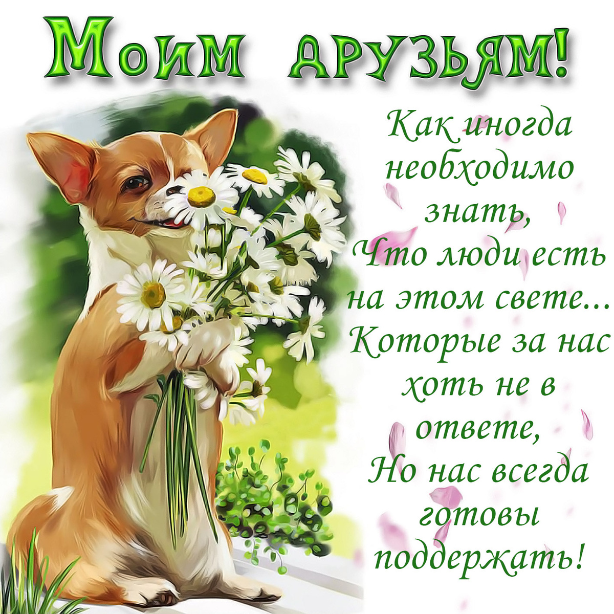 из открытого источника