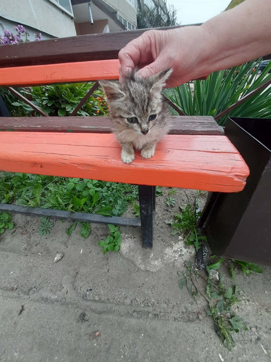 Такой я её увидела впервые.