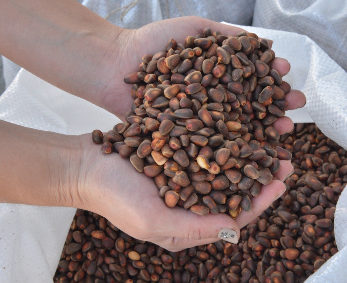 Фото: Александр Колбасов / ТАСС