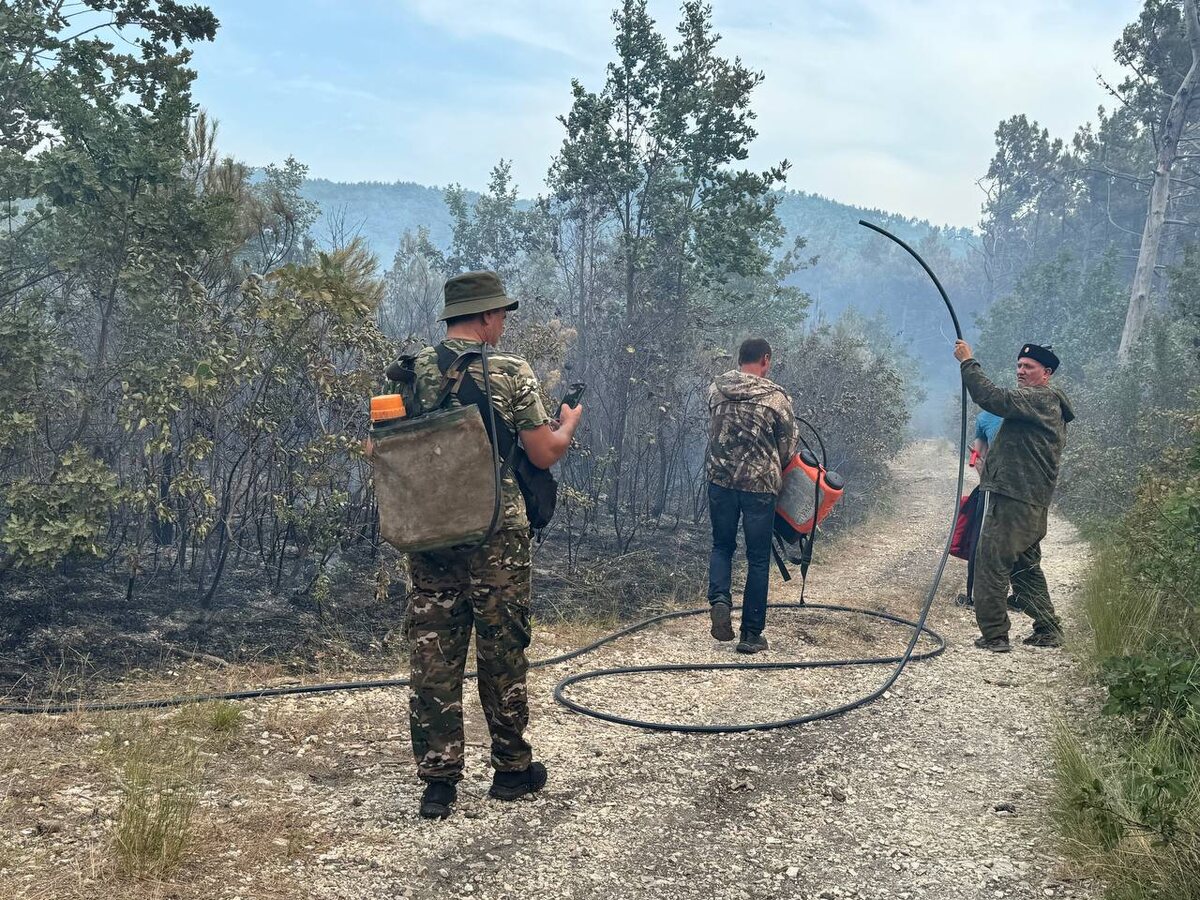    Фото: пресс-служба администрации Геленджика