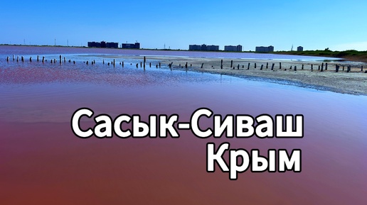 Видео озера Сасык-Сиваш в Крыму