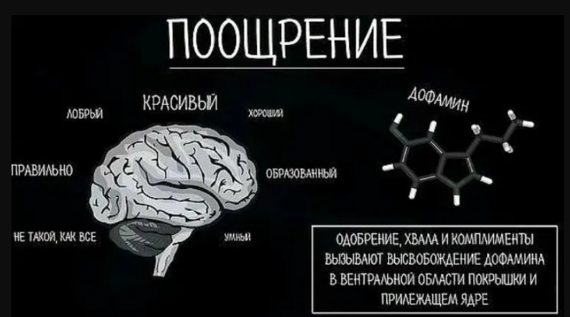 Дофаминовая любовь