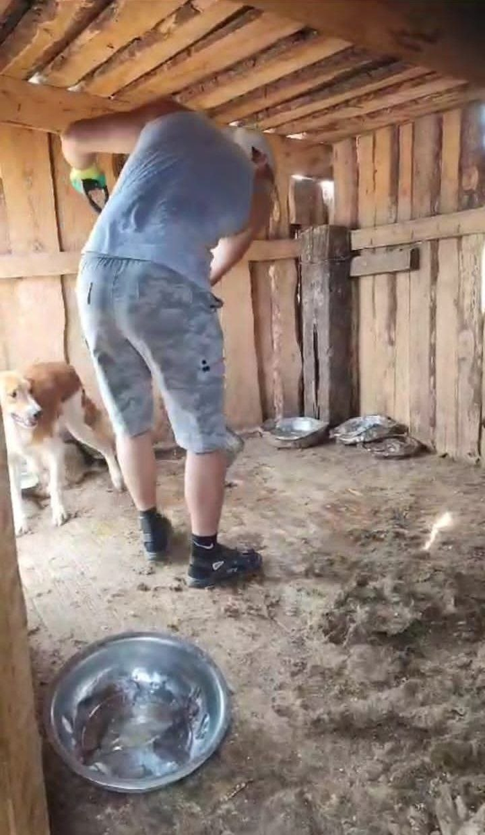 Вот в эти вольеры нужны будки. И зимой собачкам будет тепло.