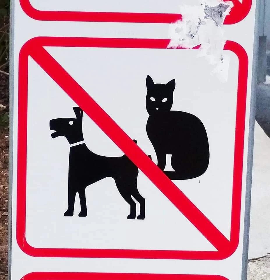 Вот он, этот чудный знак