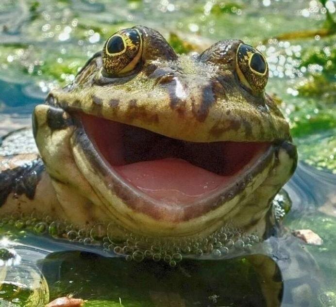 фото из свободного доступа