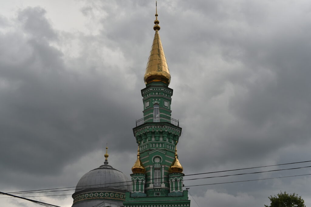    WWW Ольга Гилёва