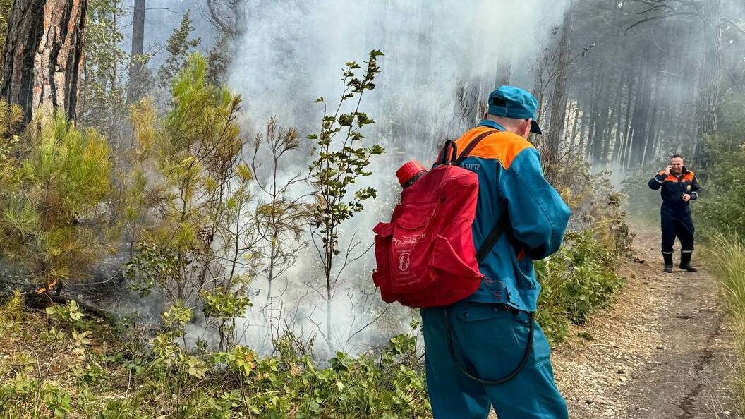    Фото: мэр Геленджика Алексей Богодистов/t.me/BogodistovAA
