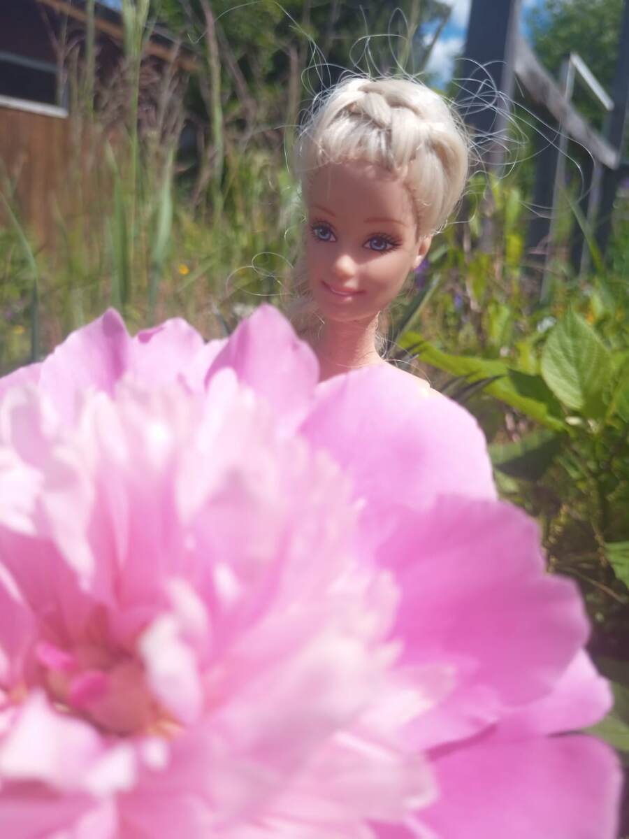Барби и пион. 