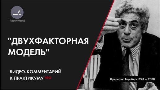 Двухфакторная модель. Методолог Дарья Масленникова. Мастер смысловой конфигурации.