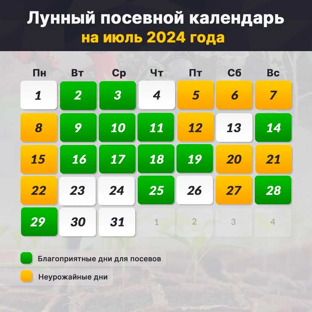 Календарь работ Фитостудия-63.ру