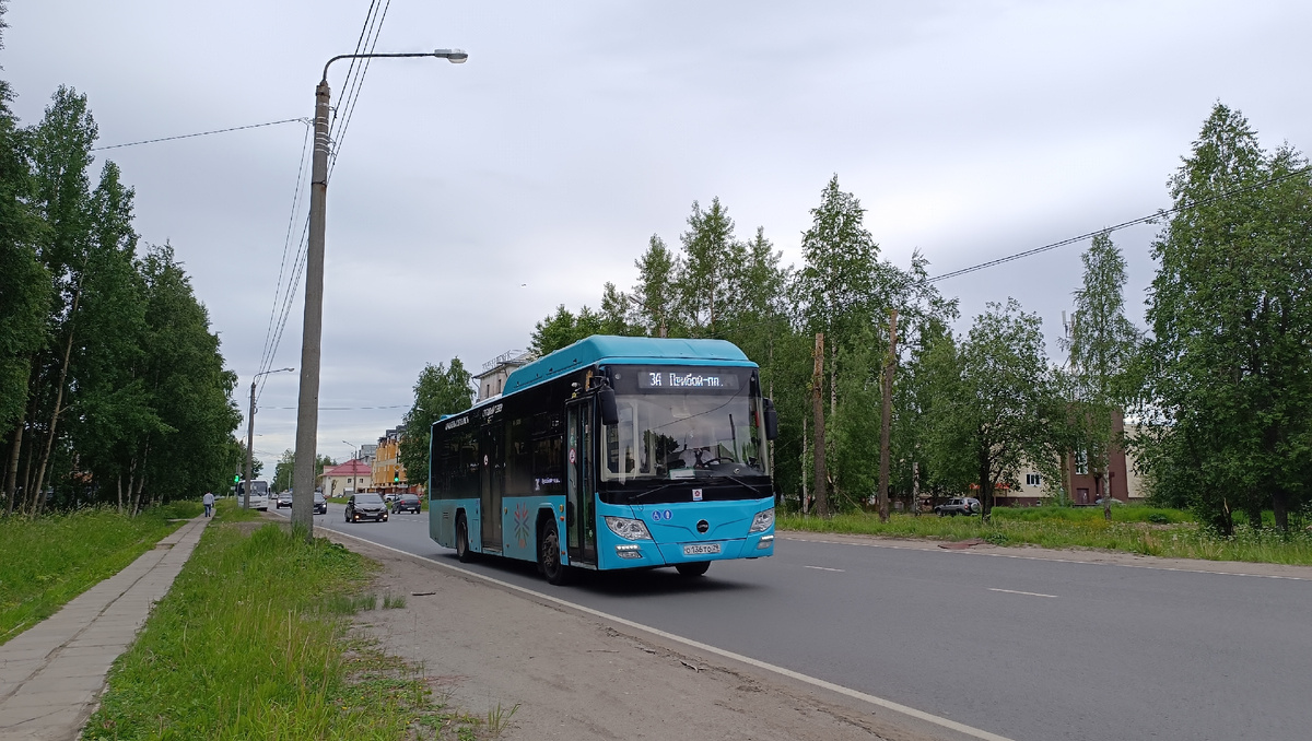 В понедельник, в нашем городе появился новый оператор пассажирских автобусных перевозок "Рико", теперь город просто пестрит от автобусов их компании.