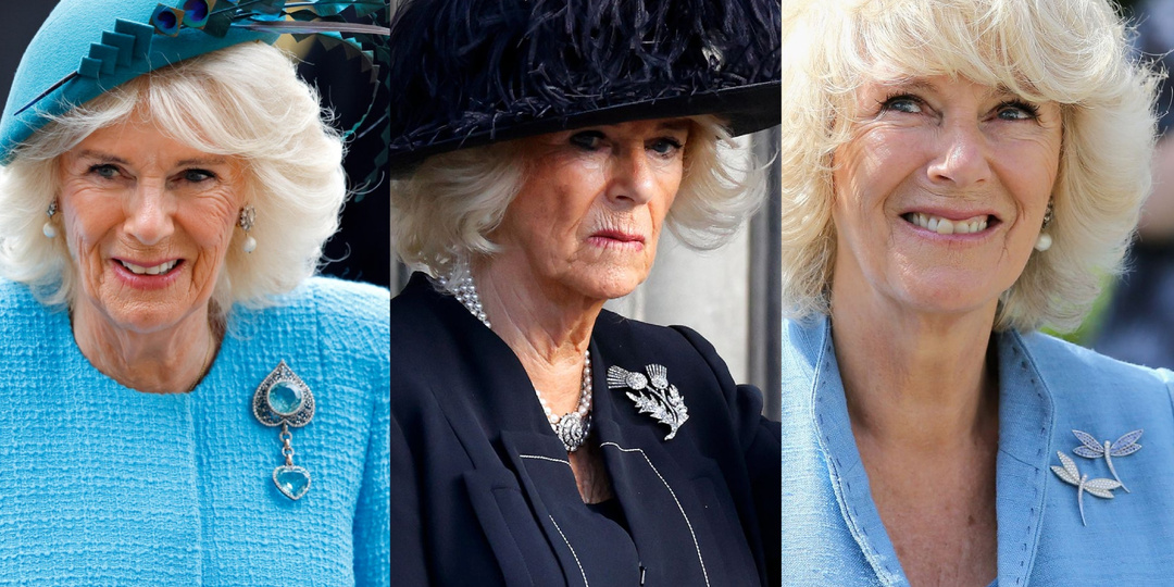 Королева Камилла и ее особая любовь к брошкам