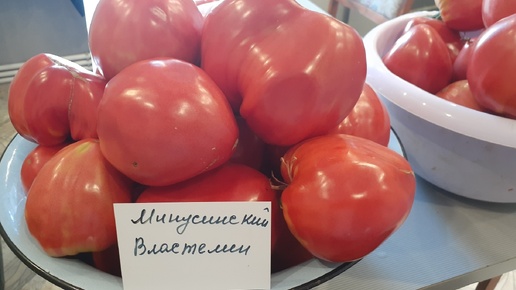 Формируем урожай крупноплодных сортов томатов