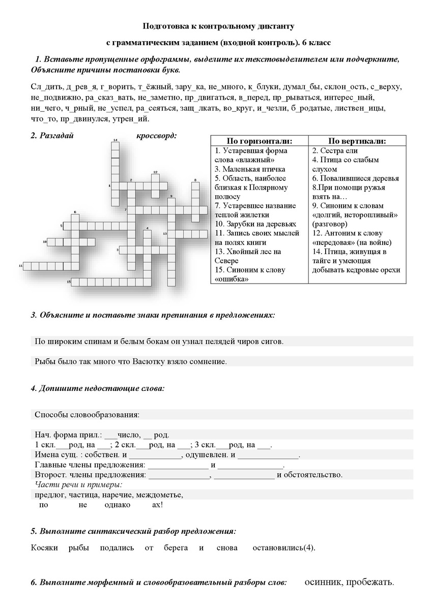 Входной контроль по русскому языку. 6 класс. 2025 год. 5 вариантов  (диктанты и контрольные работы с грамматическим заданием) | ЕГЭ, ОГЭ и ВПР.  Русский язык и литература | Дзен