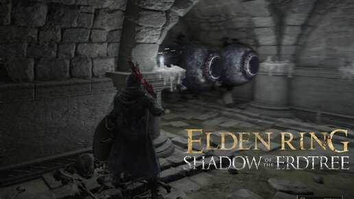 Глазастое подземелье:)►ELDEN RING Shadow of the Erdtree #20