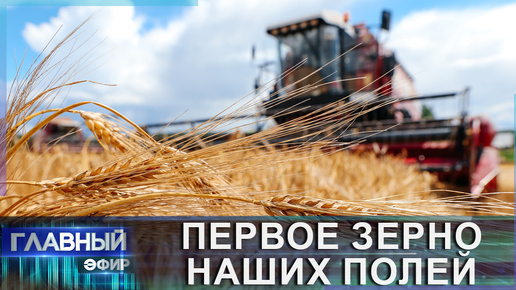Успешный старт уборочной! Как белорусские аграрии сделали ставку на озимый ячмень. Главный эфир
