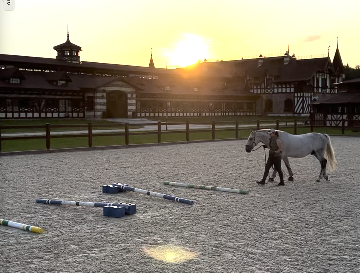 Тренинг лошадей на закате