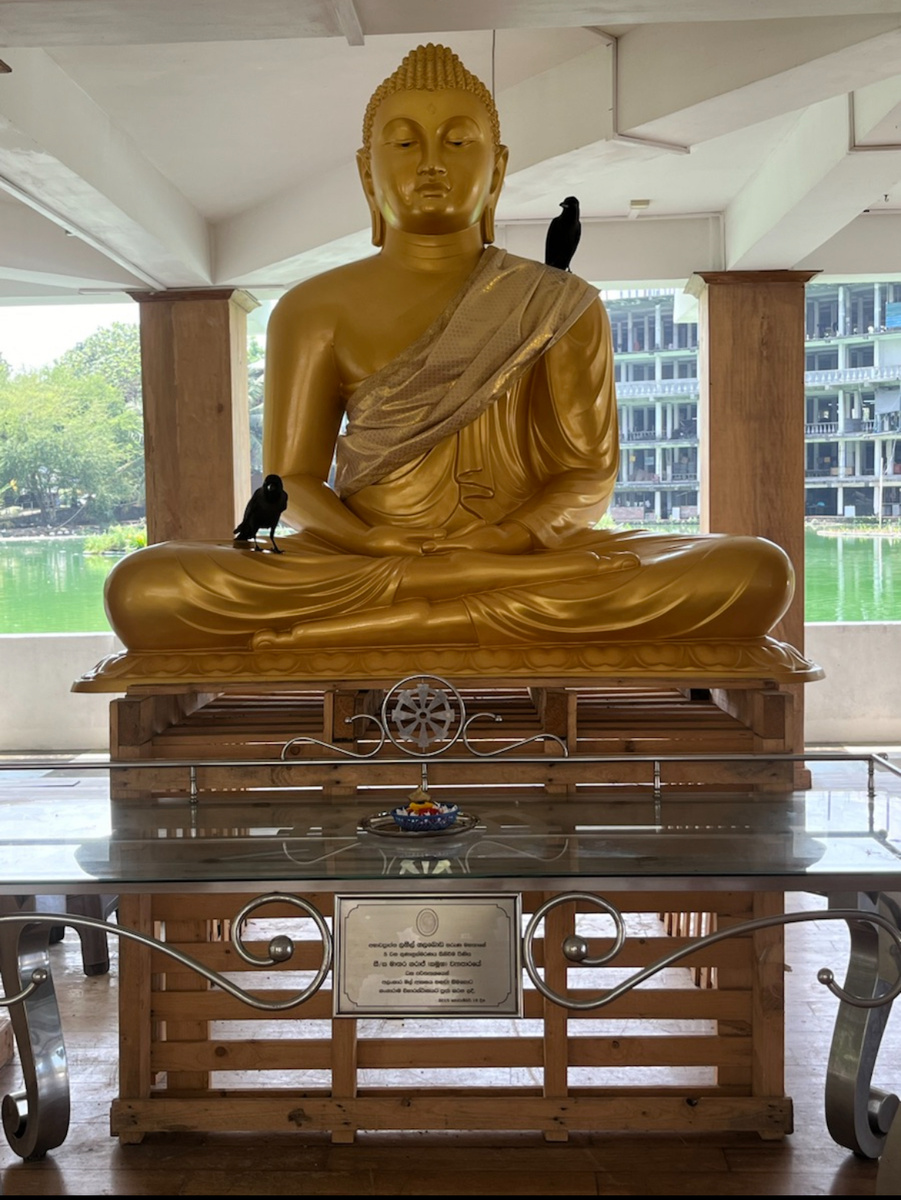 Будда в Шри-Ланке