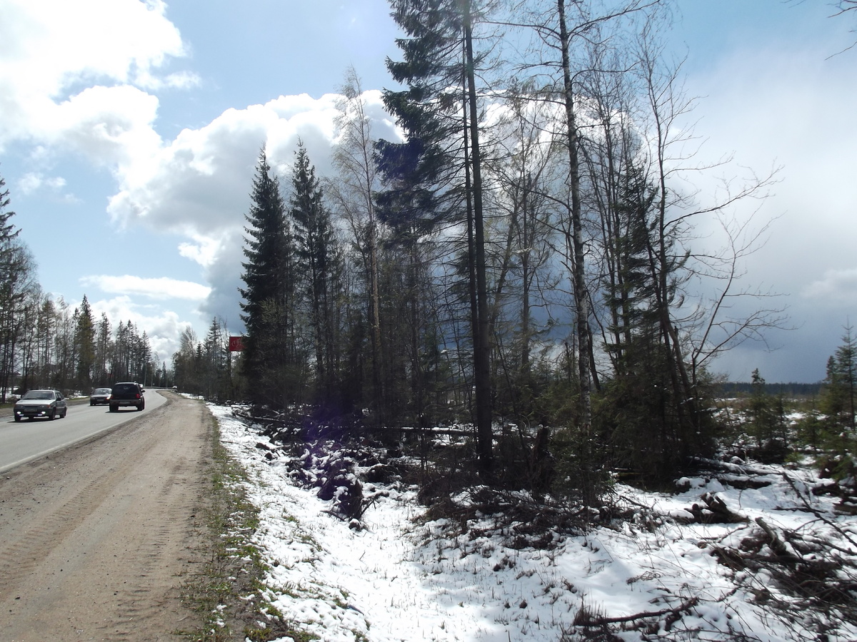 Облысевший в результате урагана холм в окрестностях Орехово. Фото 2 мая 2014 года