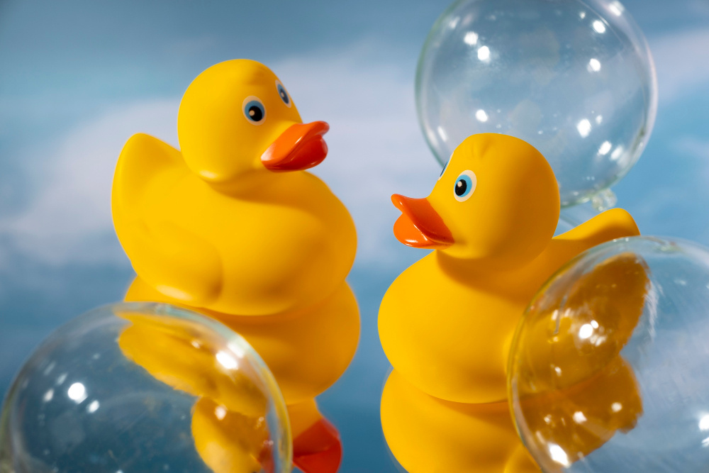 10 интересных фактов о желтой резиновой уточке