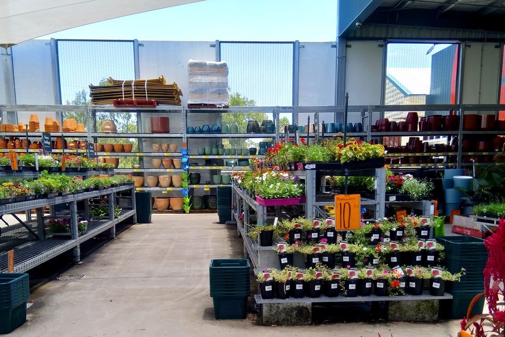 Любимый отдел бабчи в Баннингсе. Фото из домашнего архива.