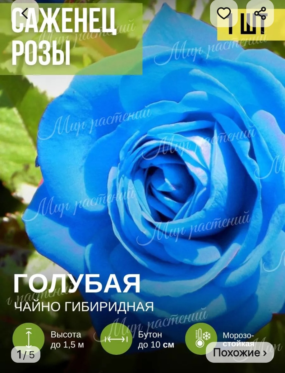 Цвет - вырви глаз