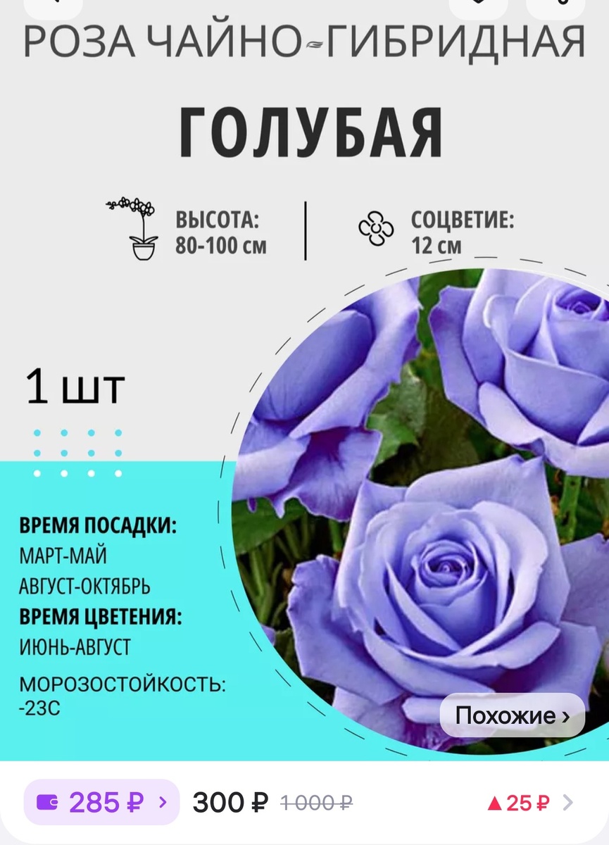 Какова красота