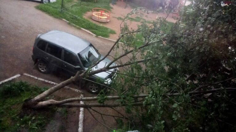    Сносил крыши и валил деревья: По Бузулуку и соседним районам пронесся ураган Белов Михаил Александрович