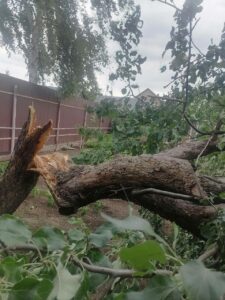  📷    Сносил крыши и валил деревья: По Бузулуку и соседним районам пронесся ураган Белов Михаил Александрович