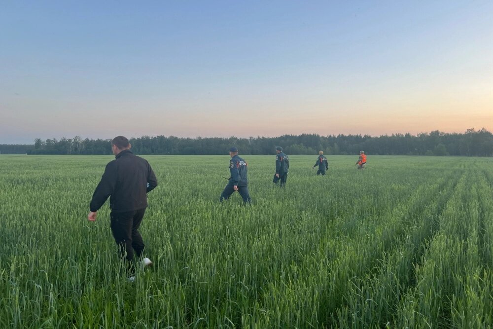    Фото:  Поисковый отряд «ЛизаАлерт» Челябинской области