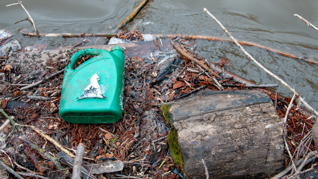    Фото: Svetlana Vozmilova/Globallookpress