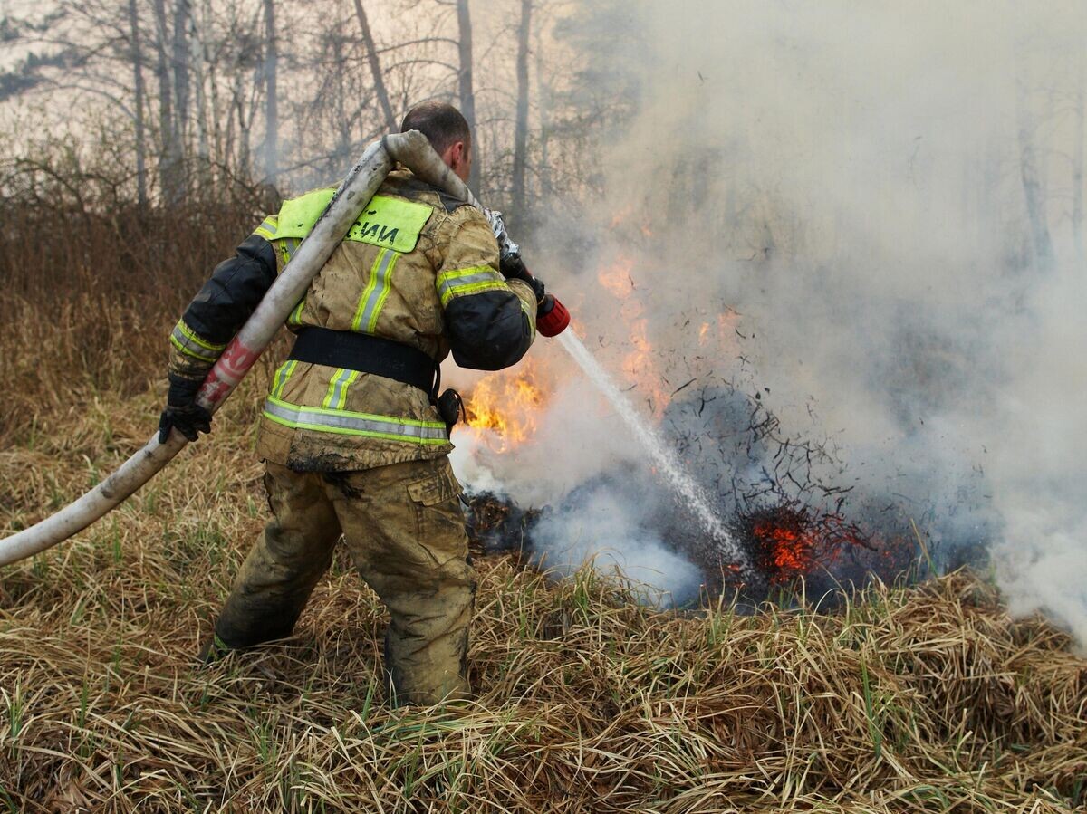    Работа пожарных МЧС в районе пожара в лесном массиве у трассы Р354 в Курганской области© РИА Новости / Евгений Кузьмин