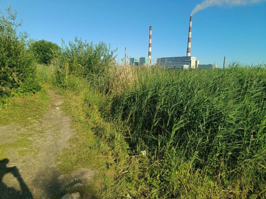    17-летний парень утонул в Новомичуринске. Фото: прокуратура Рязанской области