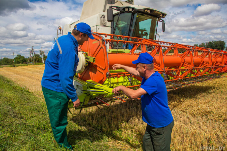     "Горячая линия" по охране и условиям труда участников жатвы будет работать в ФПБ до конца уборочной кампании